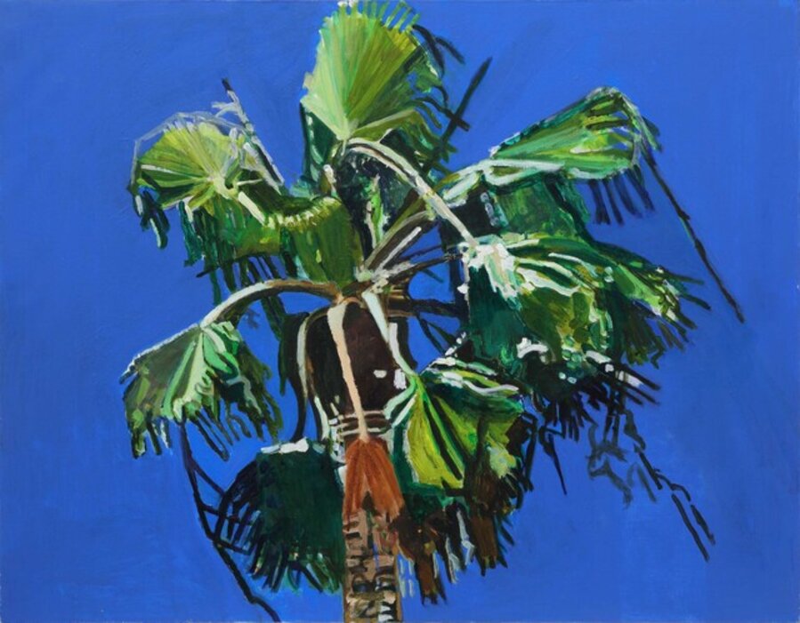 Palm Tree
