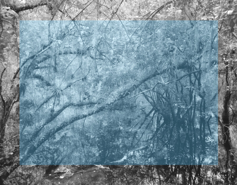 Sky Blue #2, series What photography & Incarceration has in Common with an Empty Vase