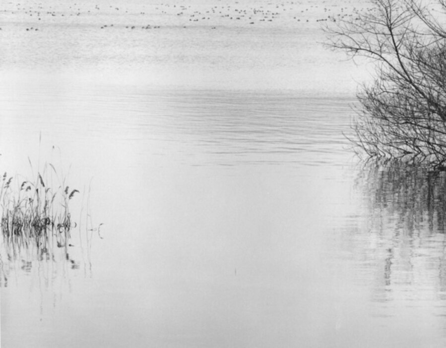LS 013