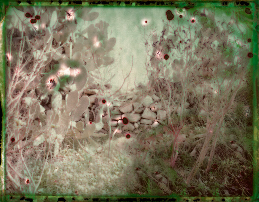 Untitled 13 from For You Mother II series