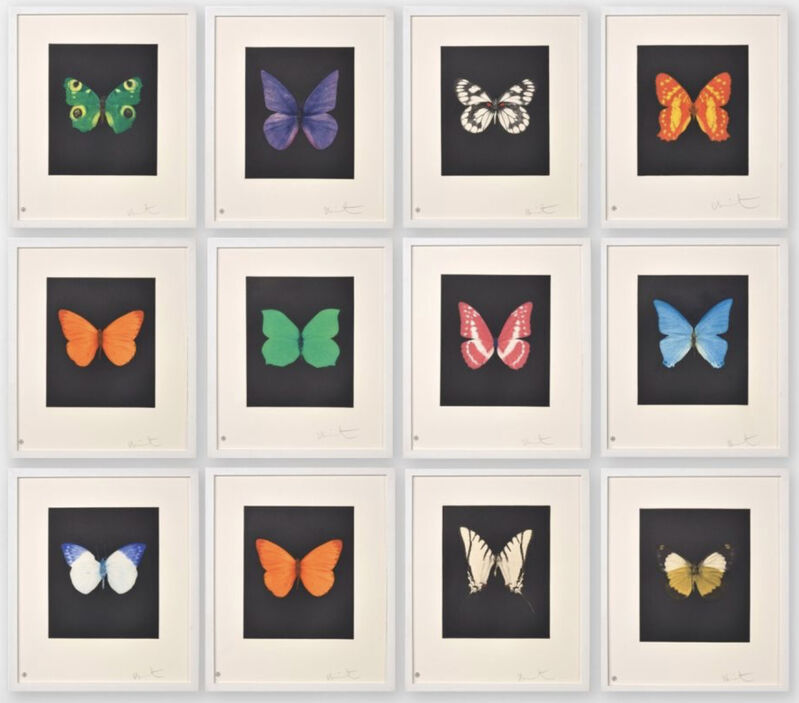 Damien Hirst, ‘Butterfly (portfolio)’, 2009, Print, Etching (set of two), Soli Corbelle Art