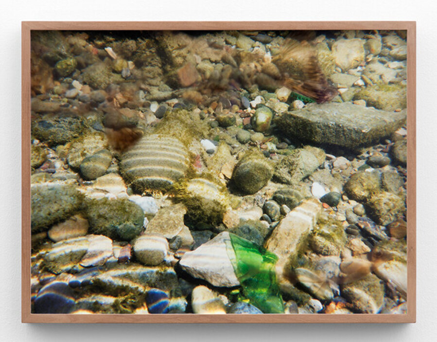 Rhine. Riverbed 32