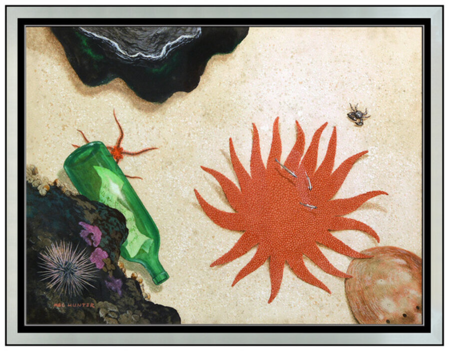 Ocean Floor