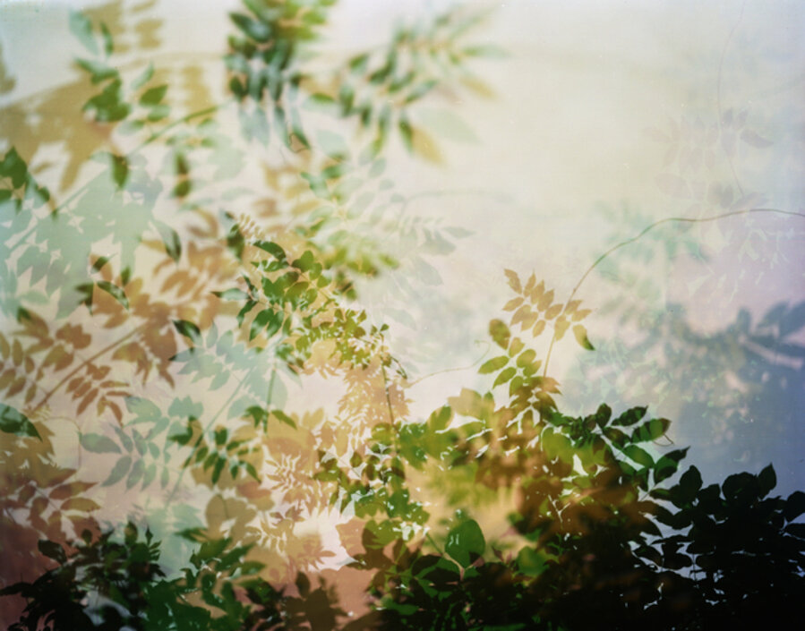 Hallucination #23 (Endless Summer)