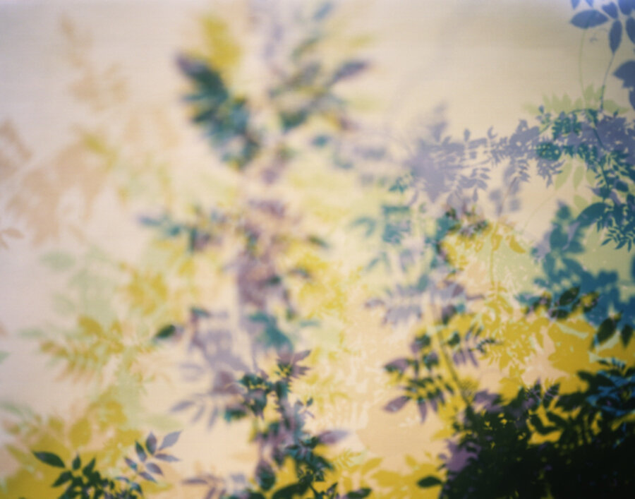 Hallucinations #14 (Endless Summer)