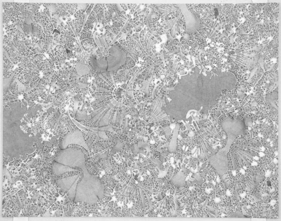 Interspesed Cohesion