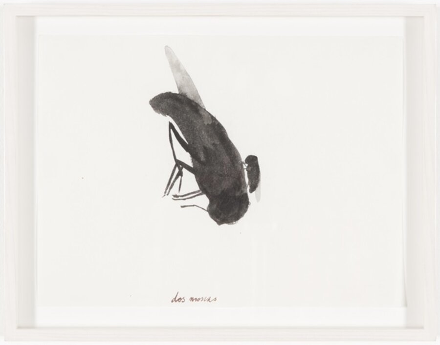 Untitled (dos moscas)