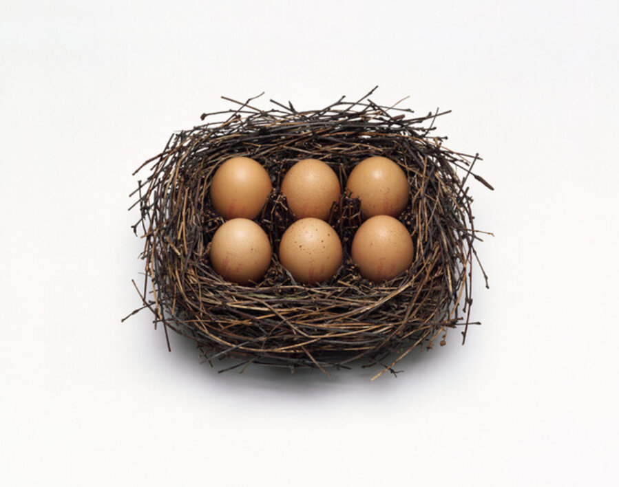 Egg Box