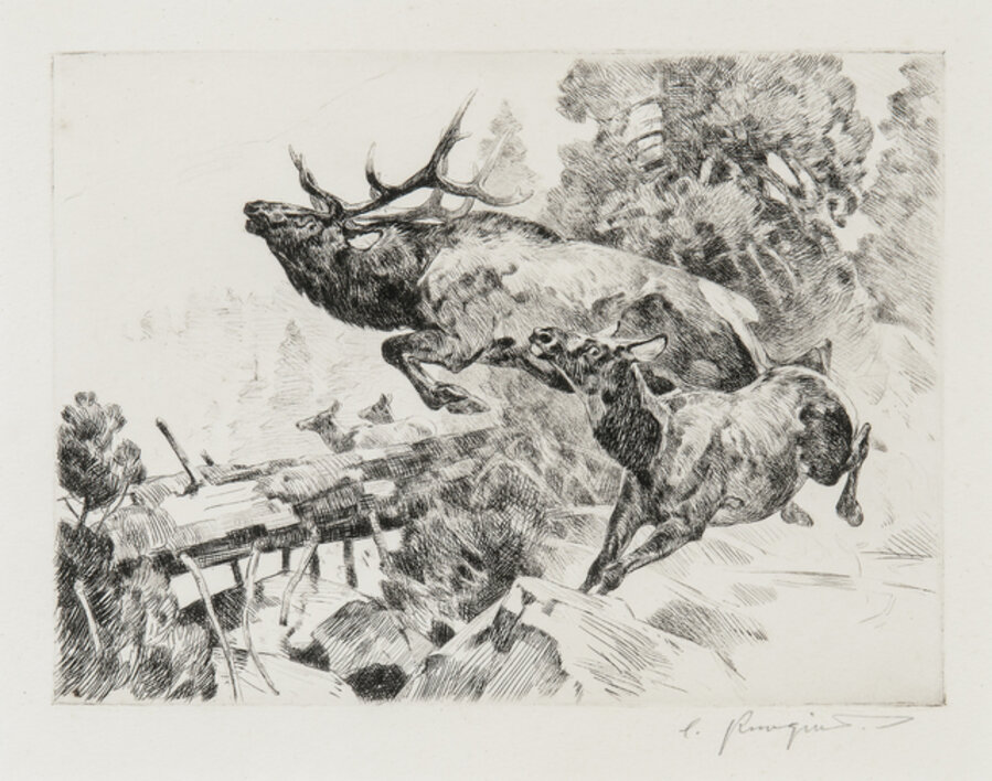 Stampede