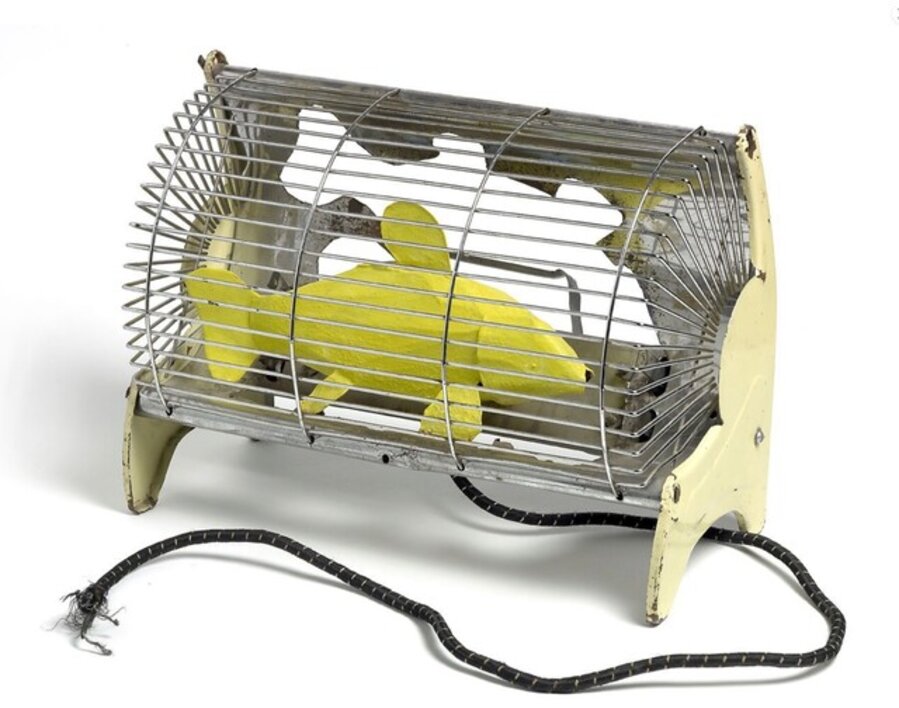 Electric fire with yellow fish