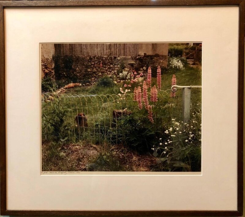 Frank Gohlke, ‘A Yard, Mezilles Burgundy France. Field Of Flowers 1986 Vintage Color Photograph’, 1980-1989, Photography, C Print, Color Print, Lions Gallery