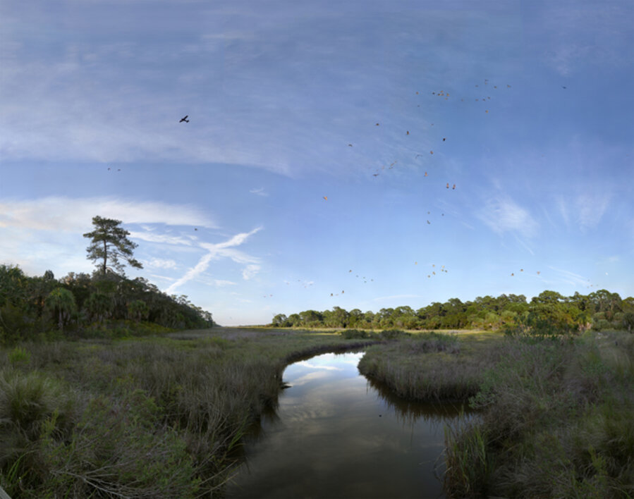 View North, Little St. Simon’s Island, GA, September 2011
