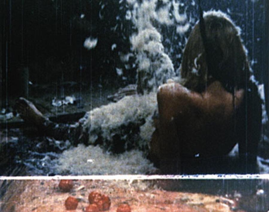 7/64 Leda und der Schwan