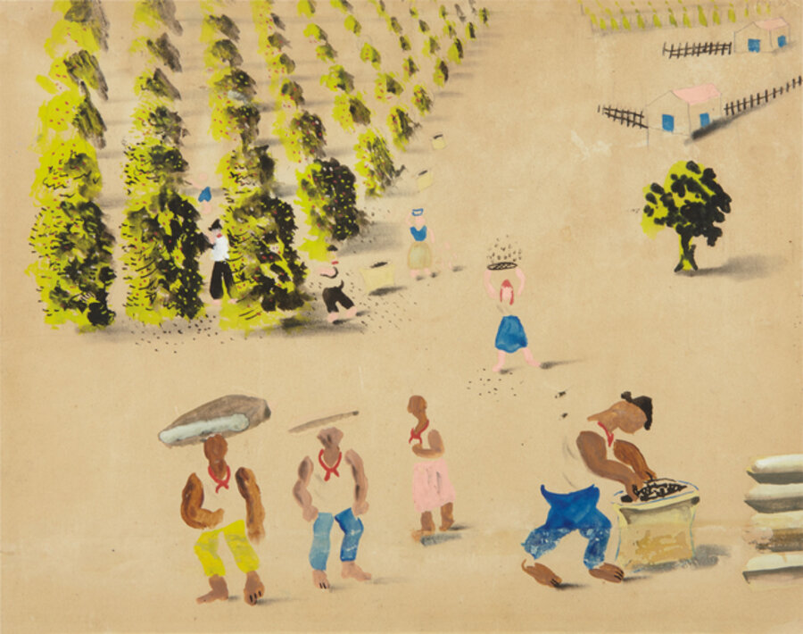 Colheita de Café (Coffee Harvest)