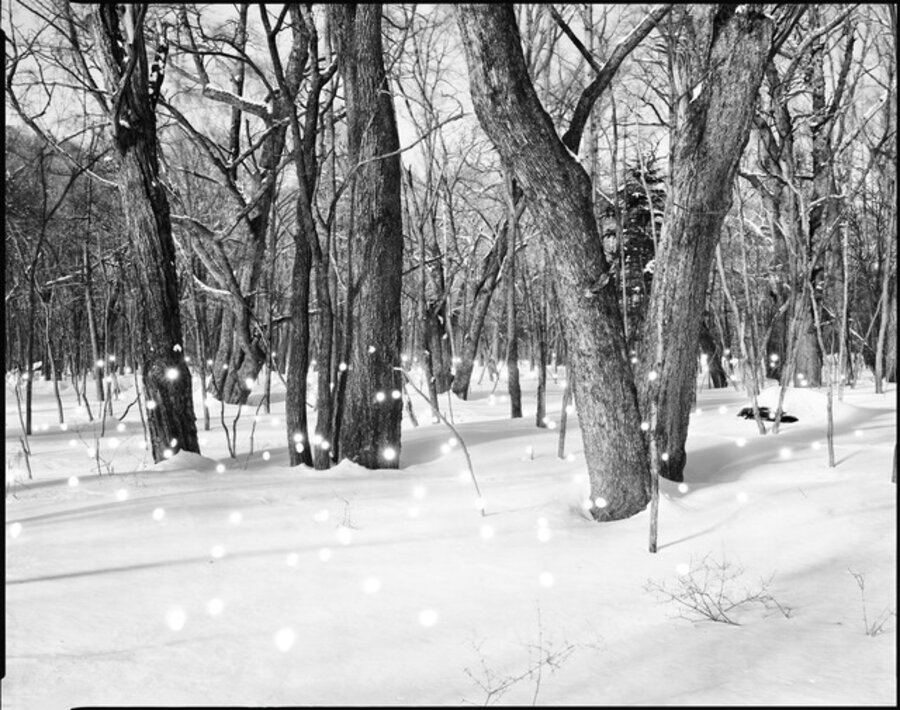 Photo Respiration – In the Snow Nikko #5