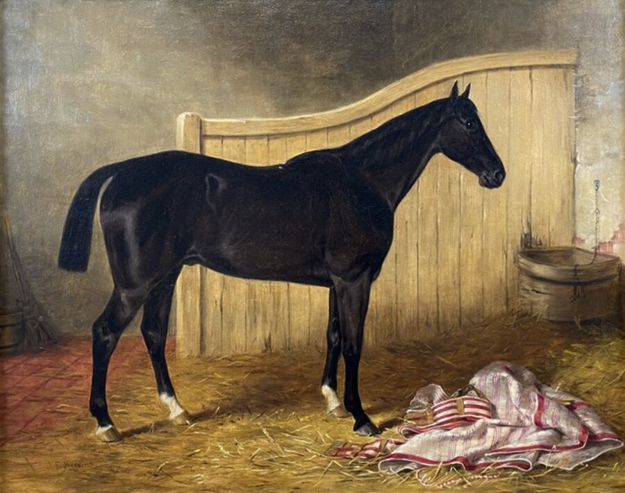 Harlequin