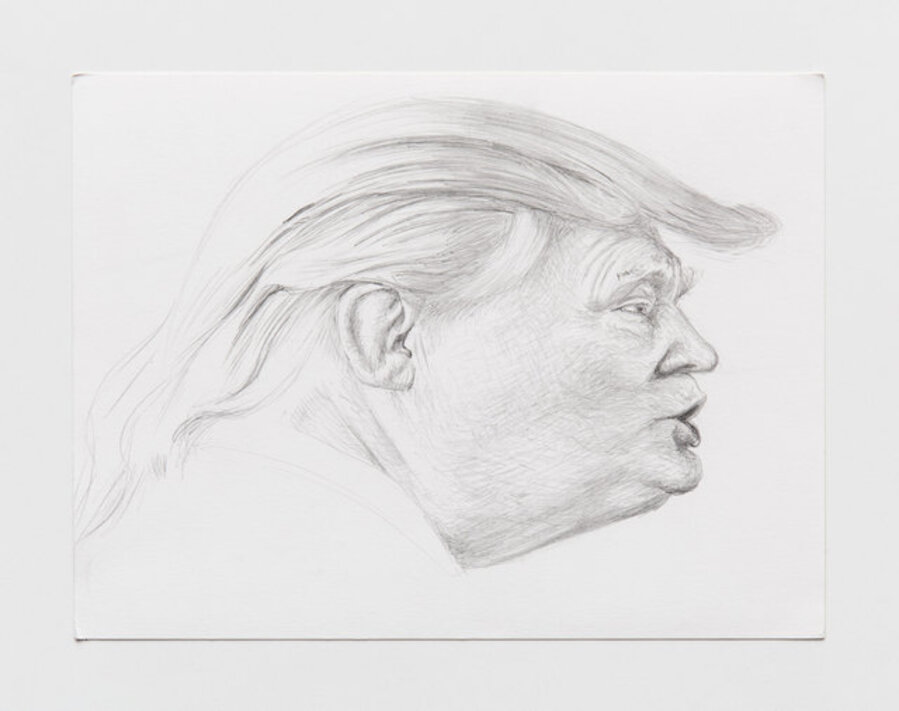 Study for Trump Distortion #5