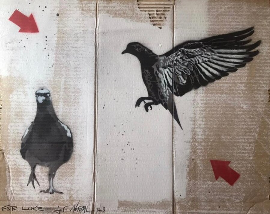 Pigeons