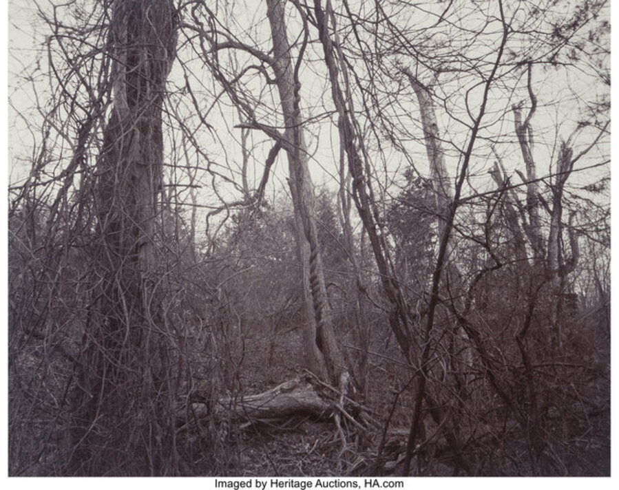Woods (Belmont, Massachusetts) and Lightening (Nevada) (two photographs)