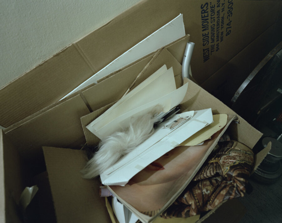 Warhol Wig