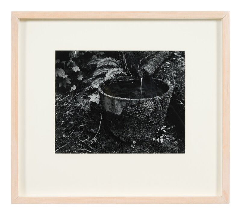 Edward Weston, ‘Untitled’, Photography, Gelatin silver print, Freeman's | Hindman