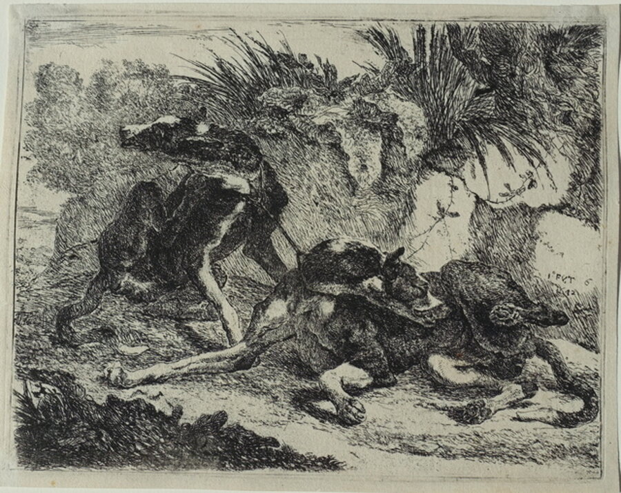 The Set of Dogs, six from a set of eight