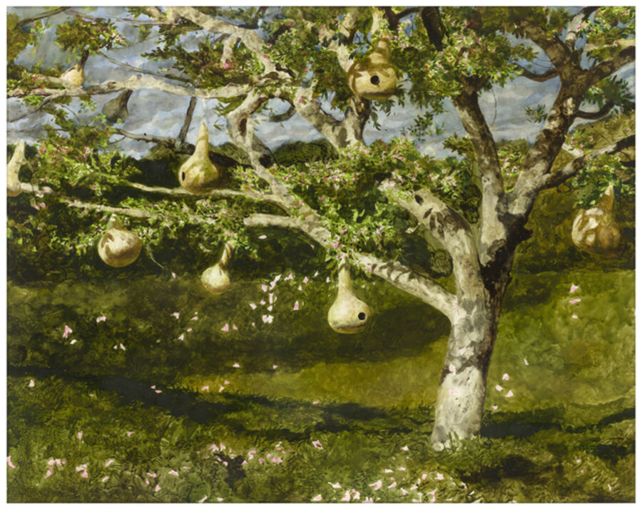 Gourd Tree