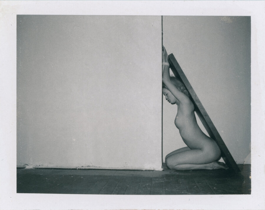 Polaroid #514