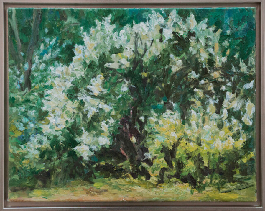 Bush VI