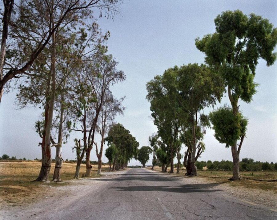 The Road to Egypt, Gaza
