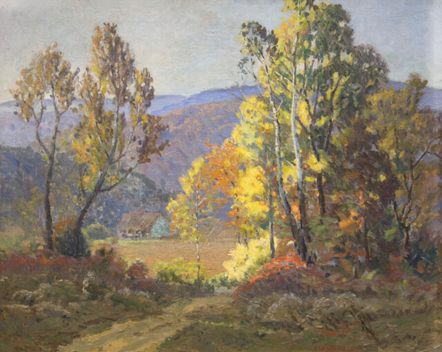 Young Sycamores