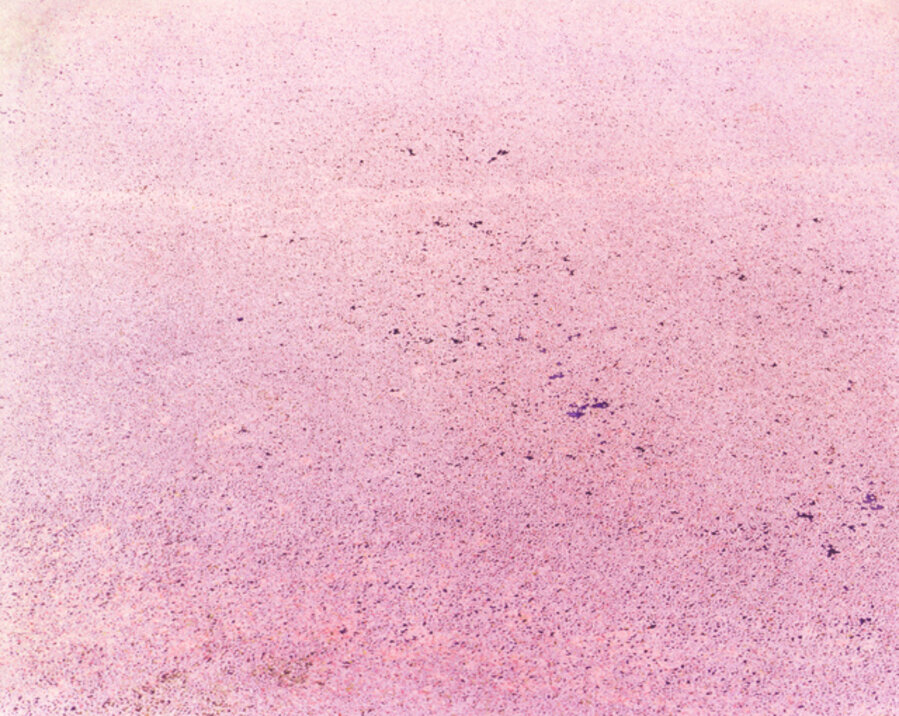 SAKURA 16,4-19