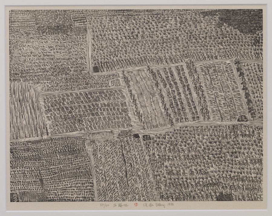 Cropland (Ed. 37/50)