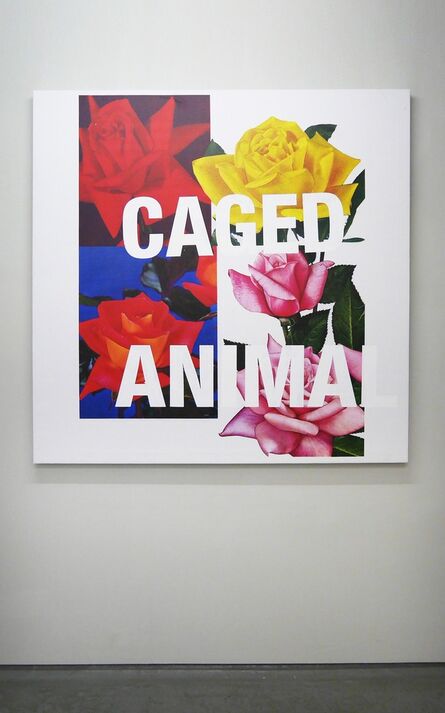 Cali Thornhill Dewitt, ‘Caged Animal’, 2015