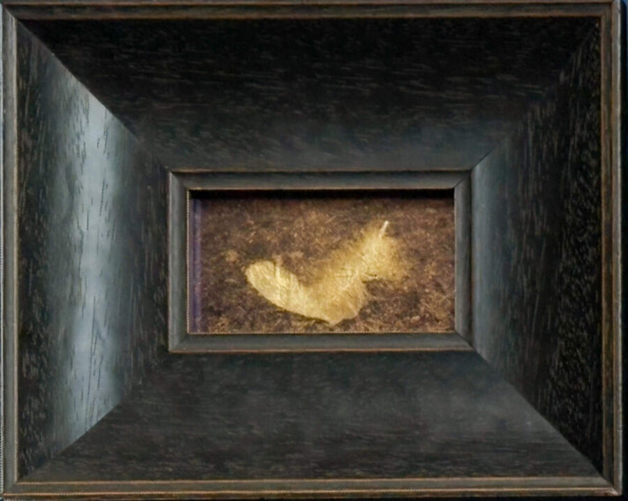 Owl Feather