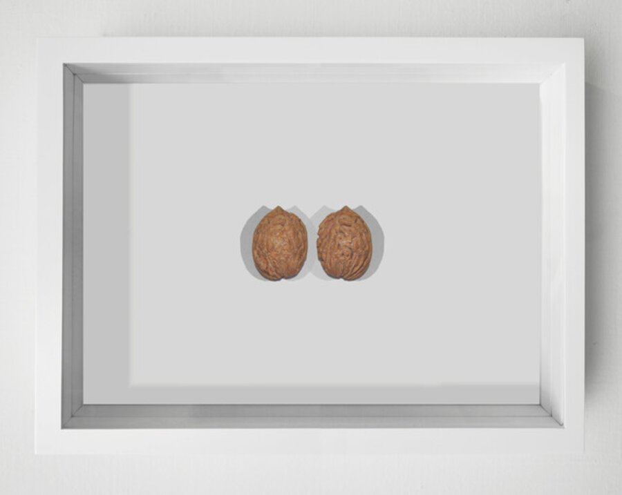Peach Pit