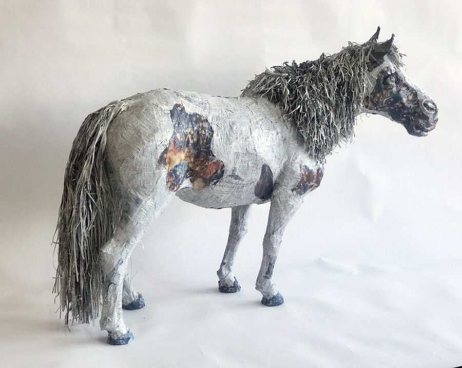 Einstein, World's Smallest Stallion