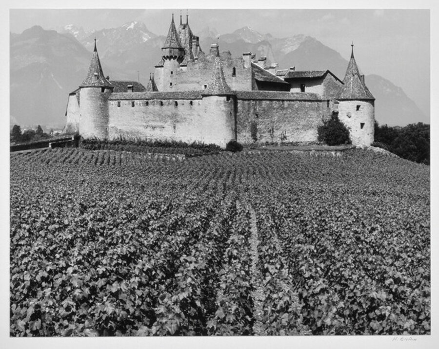 Castle and Vines