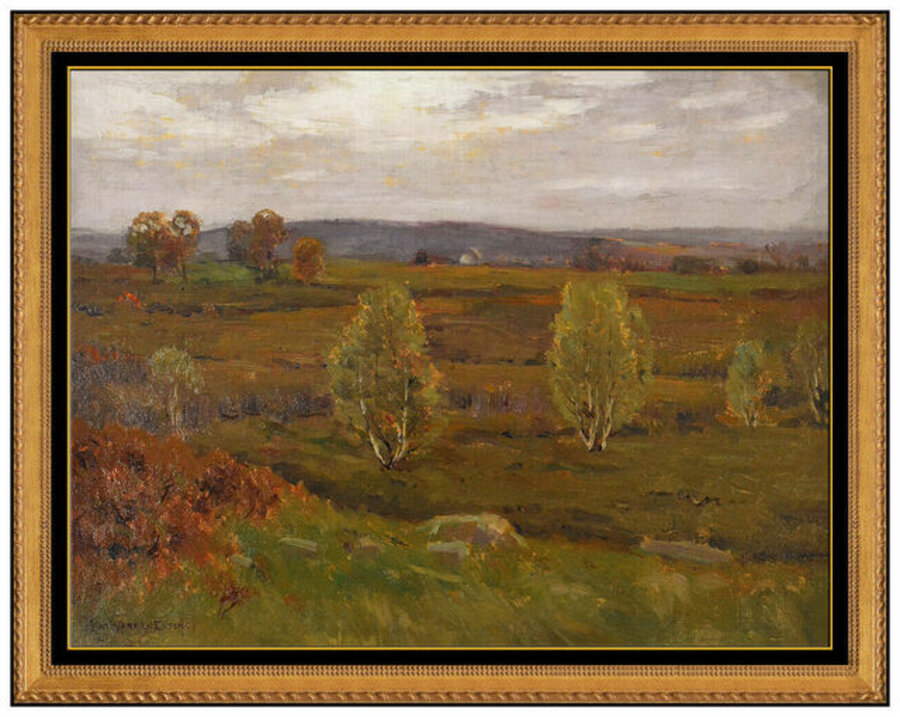 Fall Birches