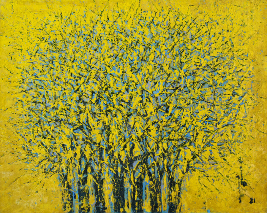 Yellow Forest (HSE 30/21)