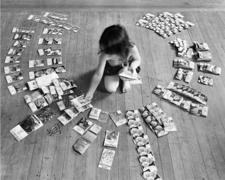 Sorting Seeds
