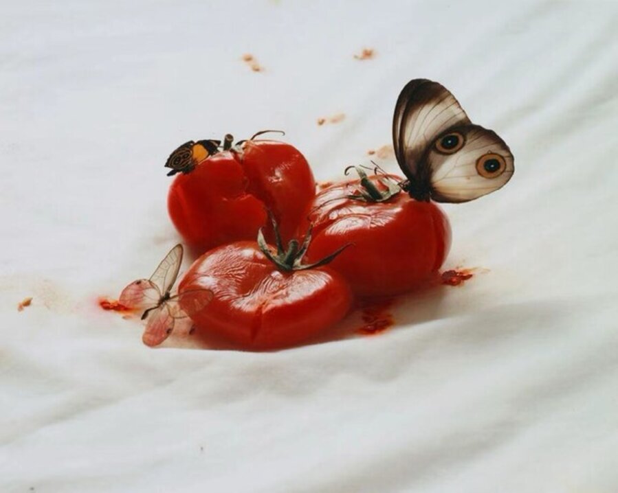 The Still Life - 1