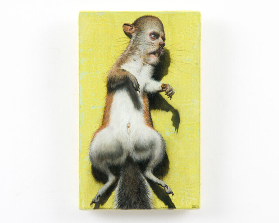 Roadkill
