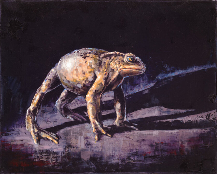 Die Drohung