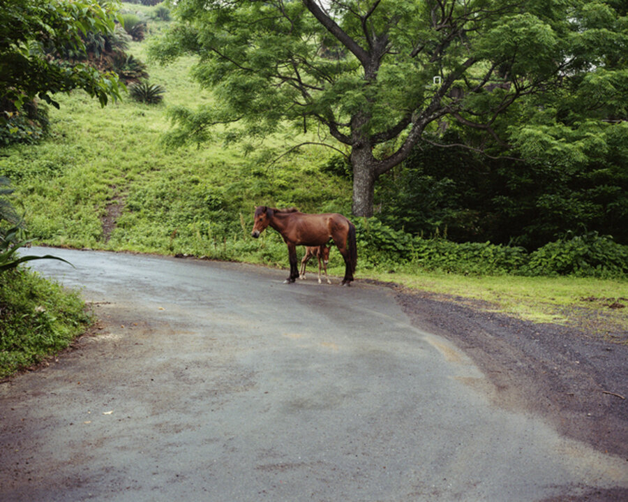 Miyazaki, Mother and Child