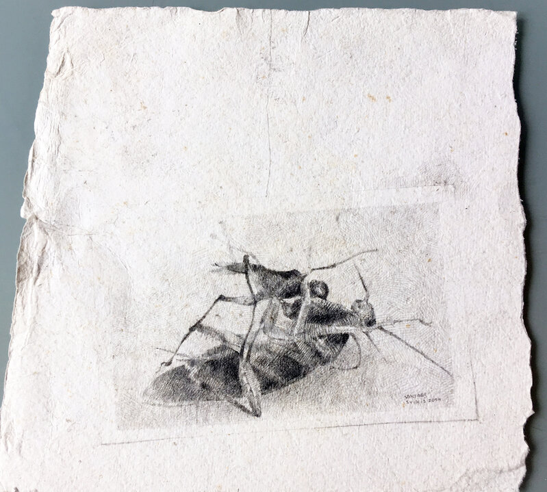Viktors Svikis, ‘metamorphosis’, 2014, Drawing, Collage or other Work on Paper, Pencil on paper, Galerie Michaela Stock