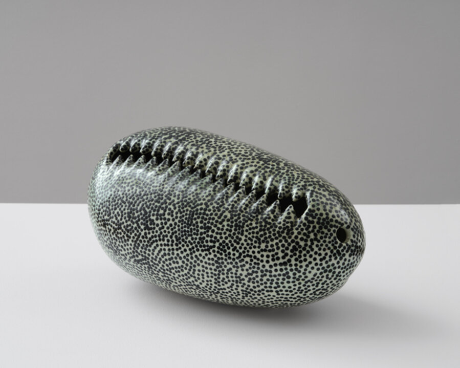 Untitled (Cowrie)