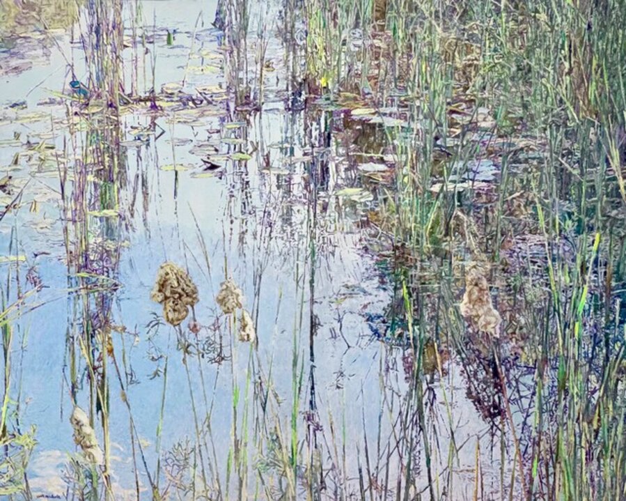 Lily Pond