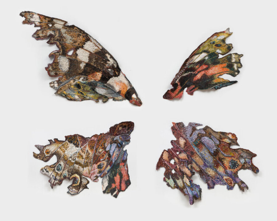 Exploding Butterfly