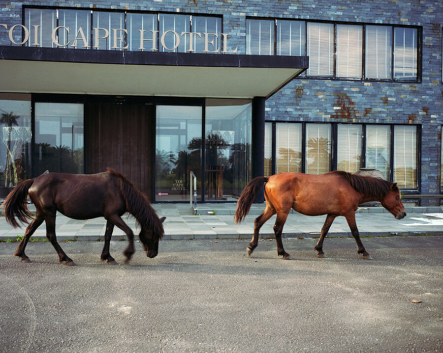 Miyazaki, Toi Cape Hotel